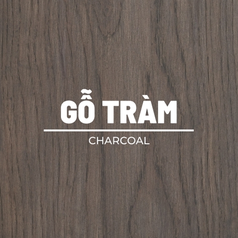 mau charcoal tren go tram