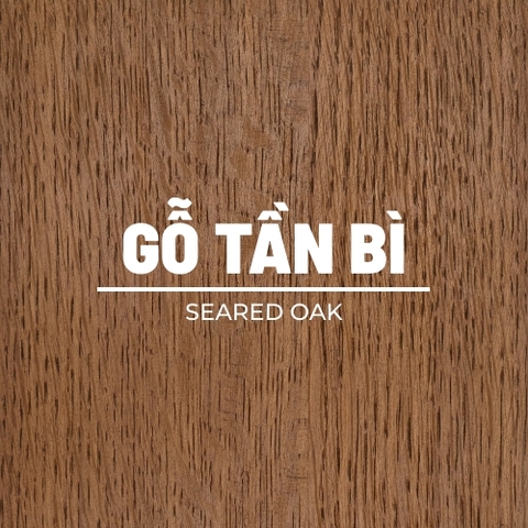 mau SEARED OAK tren go tan bi