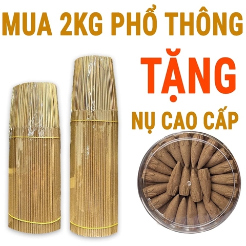 Hộp 1KG Nhang Cây Trầm Hương Sạch Chuẩn OCOP - Loại Phổ Thông