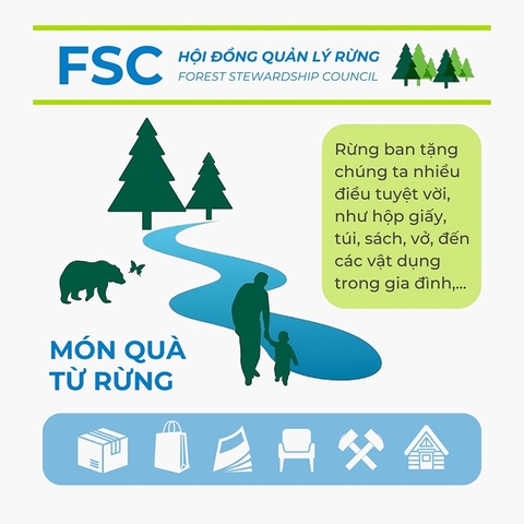Bao bì đạt chuẩn FSC - Xu hướng xanh thân thiện môi trường 2025