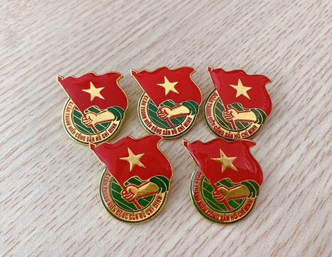 Thiết kế In Sổ tay, Logo, Huy hiệu Đại hội Đoàn Thanh niên