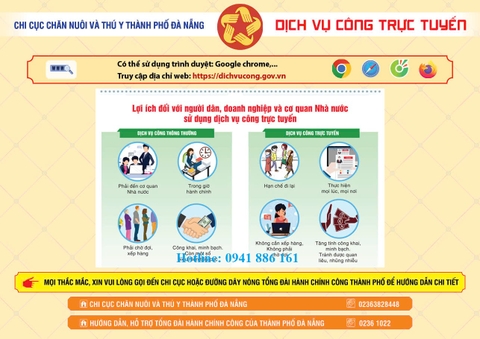 Top 10 Mẫu Thiết kế Tờ rơi tuyên truyền dịch vụ công, cải cách hành chính