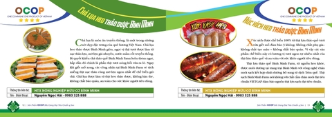 Thiết kế Cẩm nang Sản phẩm OCOP, Nông sản, Đặc sản... đẹp tại Hà Nội