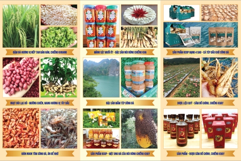 Thiết kế Cẩm nang Sản phẩm OCOP, Nông sản, Đặc sản... đẹp tại Hà Nội