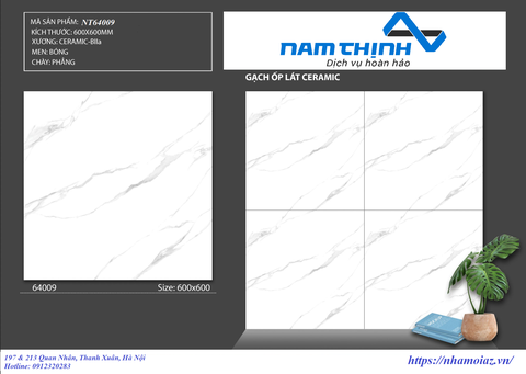 Gạch Men NT64009