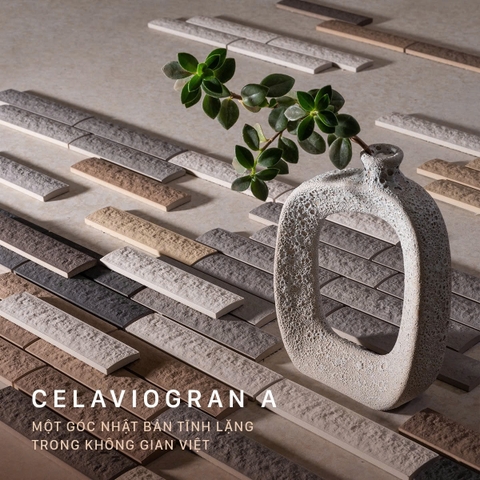 𝐂𝐄𝐋𝐀𝐕𝐈𝐎 𝐆𝐑𝐀𝐍 𝐕