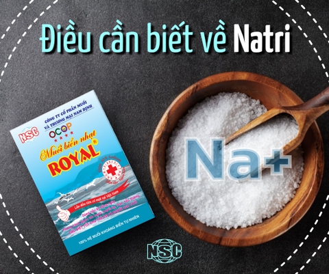 ĐIỀU CẦN BIẾT VỀ NATRI