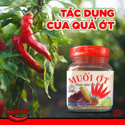 TÁC DỤNG CỦA QUẢ ỚT