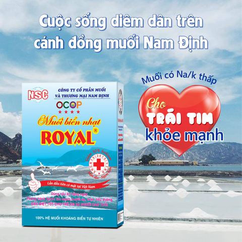 CUỘC SỐNG DIÊM DÂN TRÊN CÁNH ĐỒNG MUỐI NAM ĐỊNH