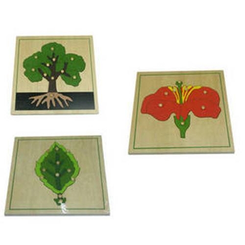 Botany Puzzles