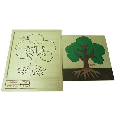 Colored botany puzzle activity set - plant