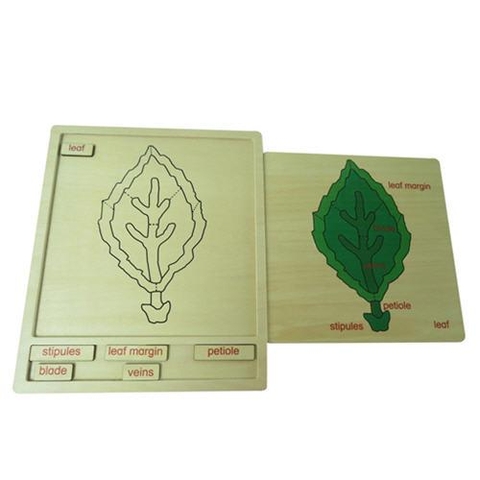 Colored botany puzzle activity set - leaf