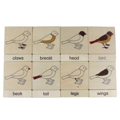 3 parts classification cards for Names of body parts - bird(8)