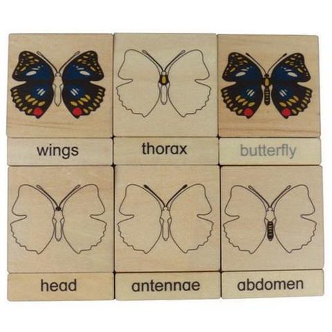3 parts classification cards for Names of body parts - butterfly(6)