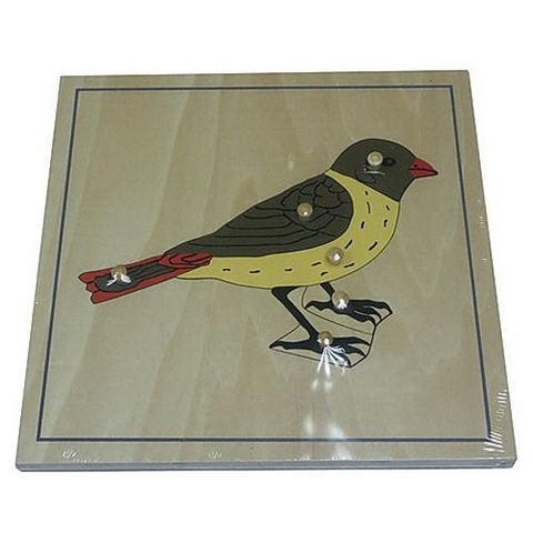Puzzle Bird