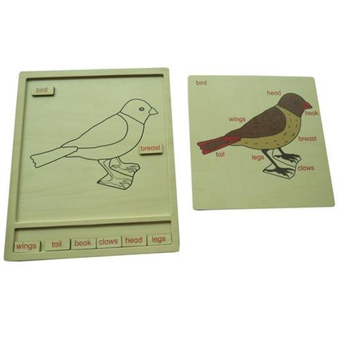 Colored animal puzzle activity set - Bird