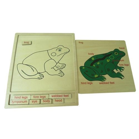 Colored animal puzzle activity set - Frog