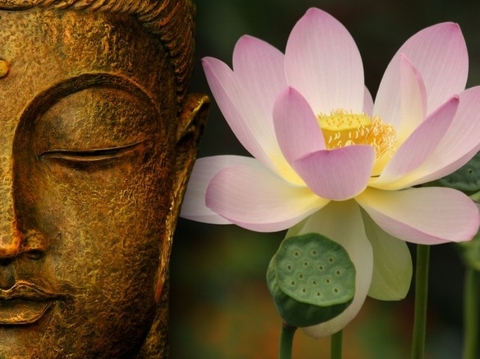 Thưởng trà sen nhìn lại Đại lễ Vesak 2025