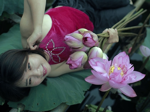 Trà sen Bách Diệp Tây Hồ