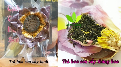 Cách phân biệt trà sen Tây Hồ thật và giả