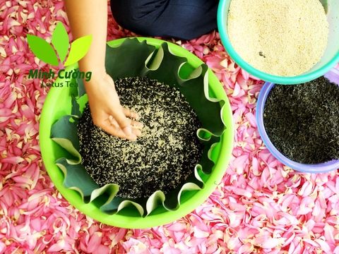 Trà Sen Tây Hồ