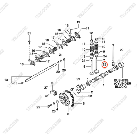 Con đội cam N-13231-H1001
