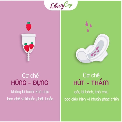 Cốc nguyệt san dùng để làm gì? 5 tác dụng khiến bạn phải bất ngờ