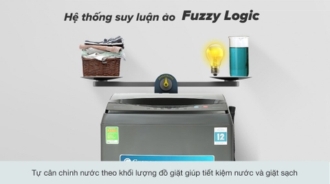 Máy giặt Casper 9.5kg Inverter WT-95I68DGA