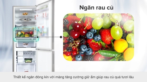 Tủ lạnh Samsung Inverter 345 lít RT35CG5544B1SV