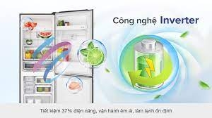 Tủ lạnh Electrolux 308 Lít Inverter EBB3462K-H