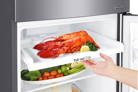 Tủ lạnh LG Inverter 255 lít GN-D255PS