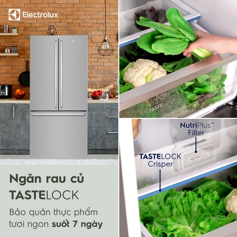 Tủ lạnh Electrolux 491 Lít Inverter EHE5224B-A