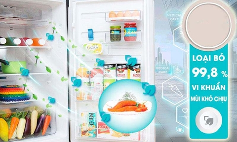 Tủ lạnh Electrolux 503 Lít Inverter ETB5400B-H