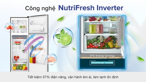 Tủ lạnh Electrolux 503 Lít Inverter ETB5400B-H