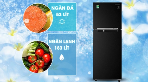 Tủ lạnh Samsung Inverter 236 lít RT22M4032BU/SV