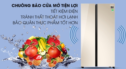 Tủ lạnh Samsung Inverter 647 lít RS62R50014G/SV