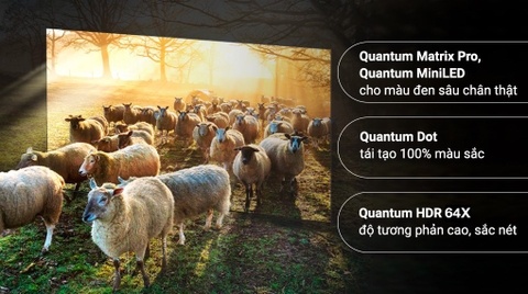 Smart Tivi Neo QLED Samsung QA75QN900B 75 inch 8K