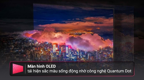 Smart Tivi OLED Samsung QA65S90CA 65 inch 4K
