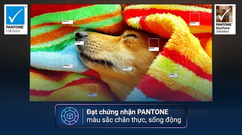 Smart Tivi QLED Samsung QA75Q70C 75 inch 4K