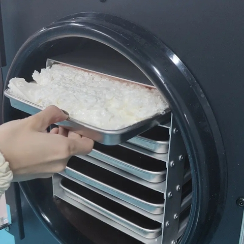 Máy Sấy Thực Phẩm Thăng Hoa 20Kg DFD-20B