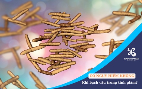 BẠCH CẦU TRUNG TÍNH GIẢM CÓ NGUY HIỂM KHÔNG?