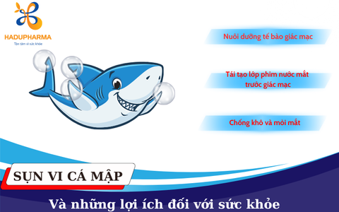 SỤN VI CÁ MẬP