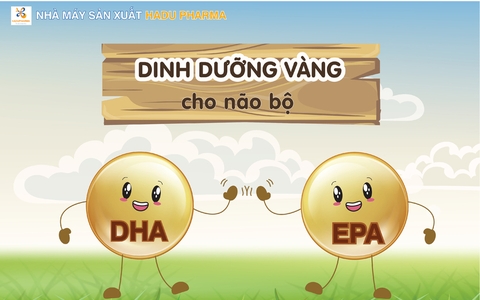 DHA và EPA - Dinh dưỡng vàng cho não bộ phát triển