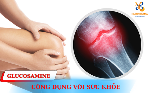 CÔNG DỤNG CỦA GLUCOSAMINE VỚI SỨC KHỎE LÀ GÌ?