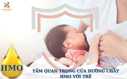 DƯỠNG CHẤT HMO LÀ GÌ? TẠI SAO NÓI HMO GIÚP TĂNG SỨC ĐỀ KHÁNG?