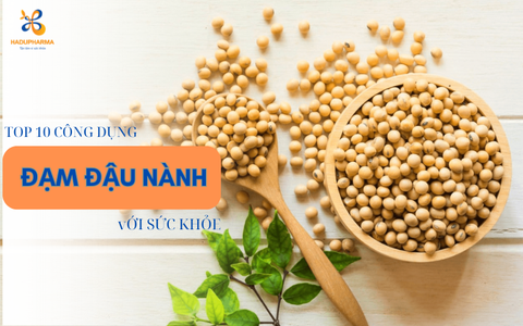 10 CÔNG DỤNG CỦA ĐẠM ĐẬU NÀNH ĐỐI VỚI SỨC KHỎE KHÔNG NÊN BỎ QUA