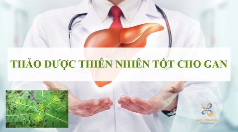 MÁCH BẠN 5 THẢO DƯỢC THIÊN NHIÊN CỰC TỐT CHO GAN