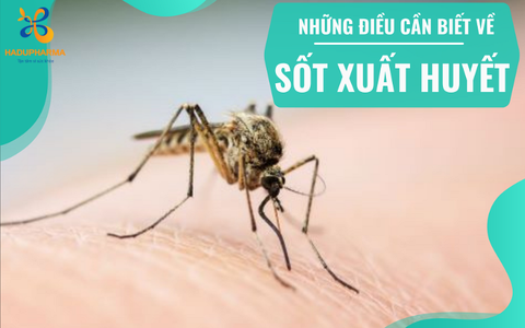 GIẢI MÃ BỆNH SỐT XUẤT HUYẾT: NGUYÊN NHÂN, TRIỆU CHỨNG VÀ CÁCH PHÒNG BỆNH