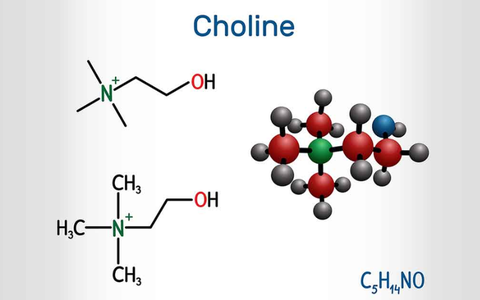 NHỮNG ĐIỀU CẦN BIẾT VỀ CHOLINE