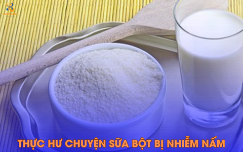 TỪ VỤ NGHI NGỜ NGỘ ĐỘC SỮA Ở TIỀN GIANG TÌM HIỂU VỀ SỮA NHIỄM ĐỘC TỐ MYCOTOXINS